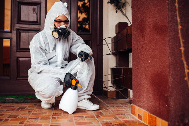 Reliable Wasp Removal contractor in Forks, WA by Show Me Pest Control